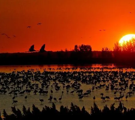 בית הארחה Sovirag Vendeghaz *