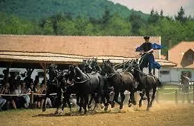 בית הארחה Sovirag Vendeghaz