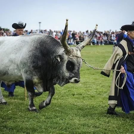 בית הארחה Sovirag Vendeghaz