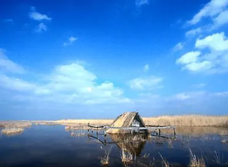 בית הארחה Sovirag Vendeghaz