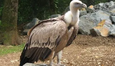 בית הארחה Sovirag Vendeghaz Hortobágy