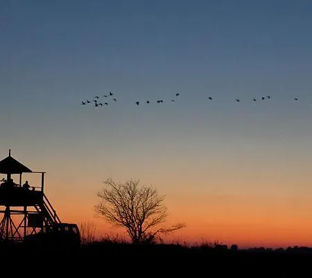 בית הארחה Sovirag Vendeghaz