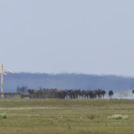 בית הארחה Sovirag Vendeghaz Hortobágy